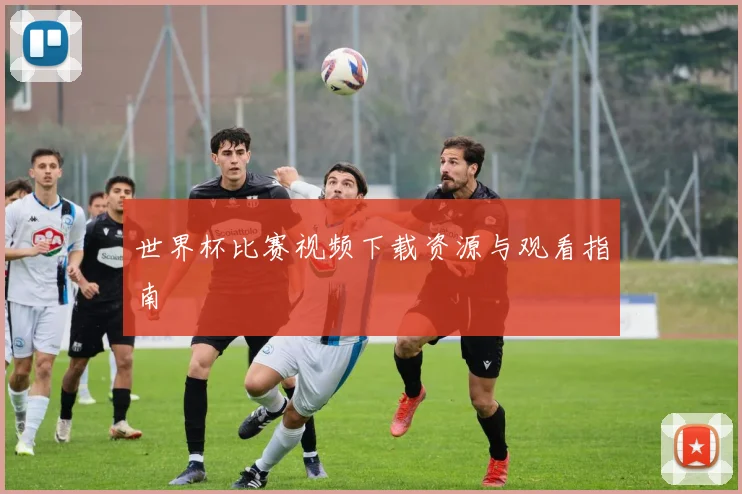 世界杯比赛视频下载资源与观看指南