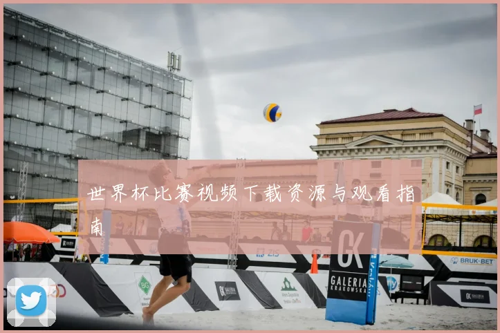 世界杯比赛视频下载资源与观看指南