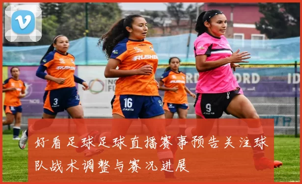 好看足球足球直播赛事预告关注球队战术调整与赛况进展