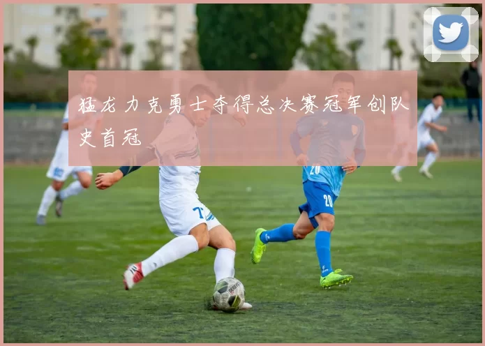 猛龙力克勇士夺得总决赛冠军创队史首冠