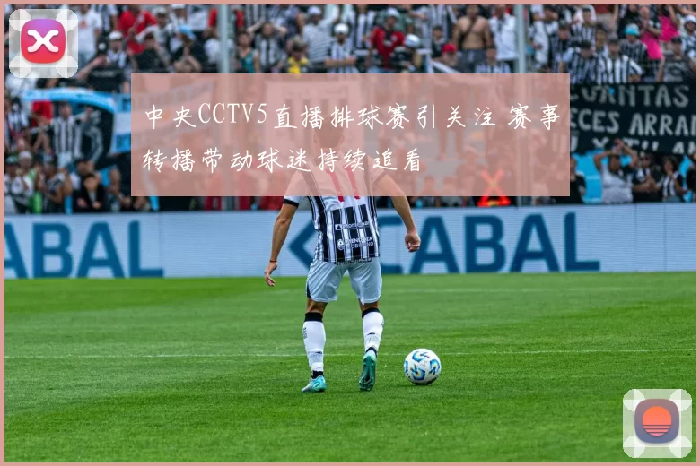 中央CCTV5直播排球赛引关注 赛事转播带动球迷持续追看